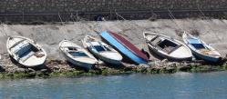 Flat-bottomed fishing boats along Suez Canal